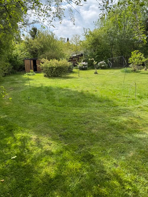Sommerhave med stor græsplæne