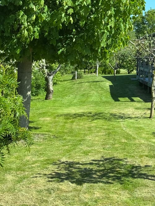 Velplejet haveanlæg med træterrasse