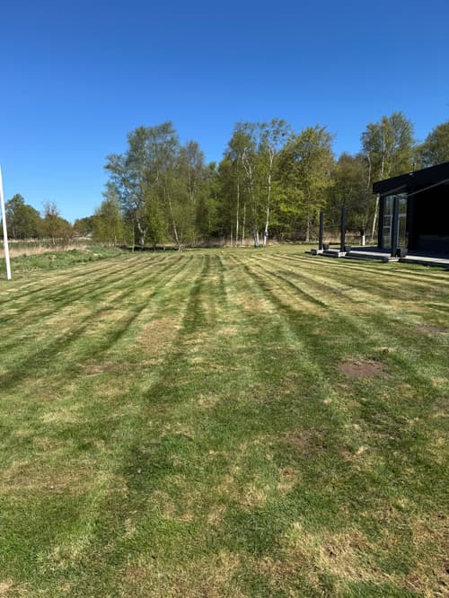 Store grønne arealer og beplantning
