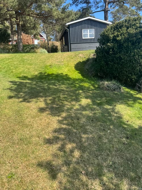 Skrånende haveanlæg ved sommerhus