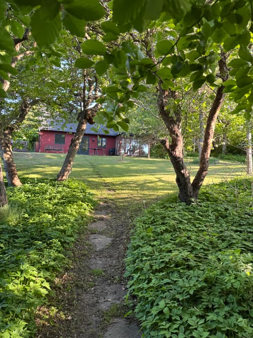 Havegang mod rødt sommerhus
