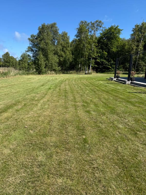 Græsslåning